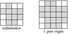 6. osztályos felvételi feladatsor 10. feladat