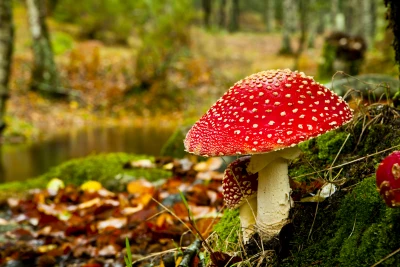 A törtek sem fognak ki rajtunk